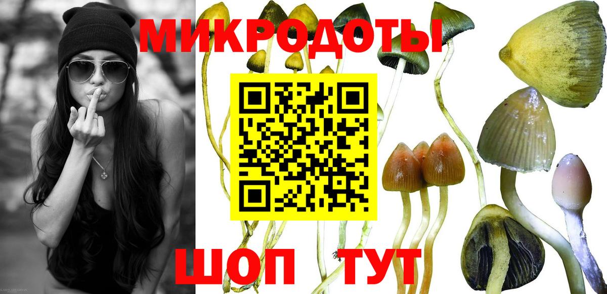 Тулун  Псилоцибиновые грибы Psilocybe  Вход с VPN 