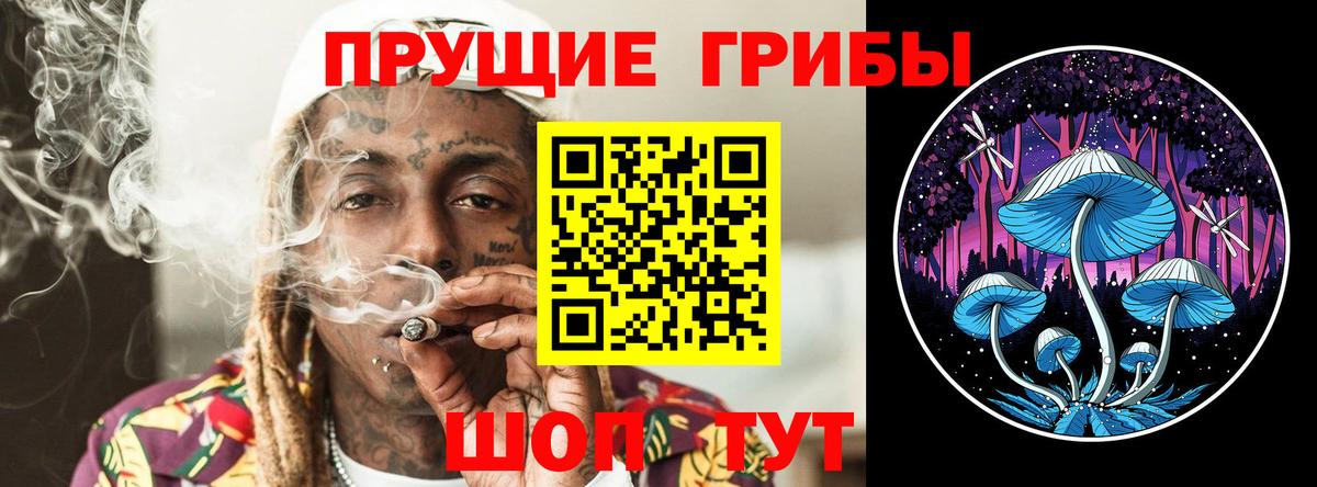 Псилоцибиновые грибы мухоморы Тулун